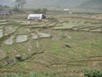 sapa hmong