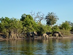 botswana