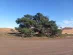 Namibie