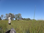 okavango