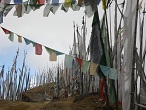 bhutan col de Chelila