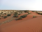 Namibie Kalahari
