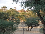 kalahari